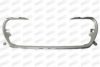 PRASCO PG4262216 Trim/Protective Strip, radiator grille